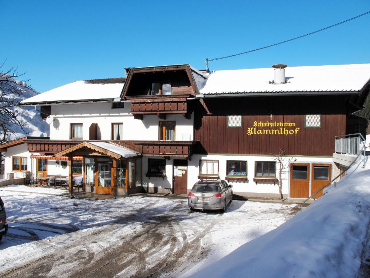 Apartment Klammlhof-4 By Interhome Zell am Ziller Dış mekan fotoğraf